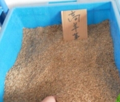 煙臺糊料是如何保護織物的